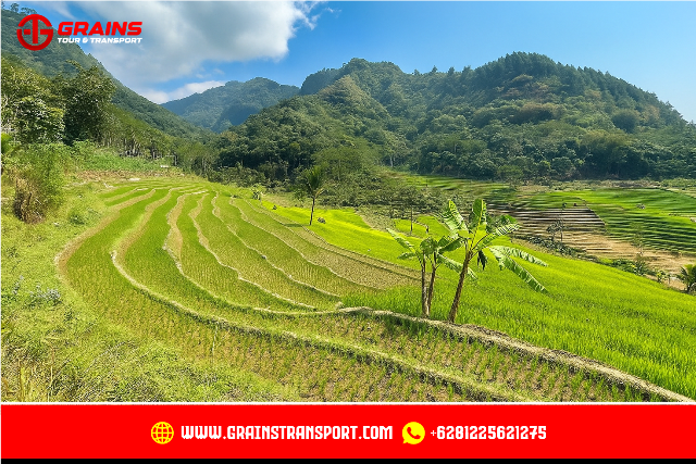 Full Day Tour to Selogriyo Temple and Nepal Van Java