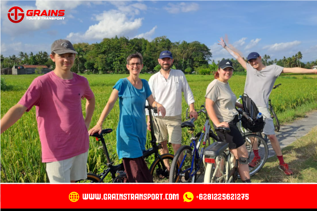 Grains Tour & Transport Yogyakarta