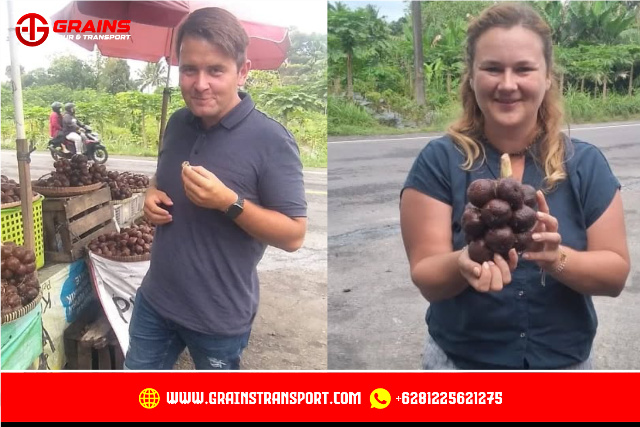 Hire a Private Car and Driver in Yogyakarta